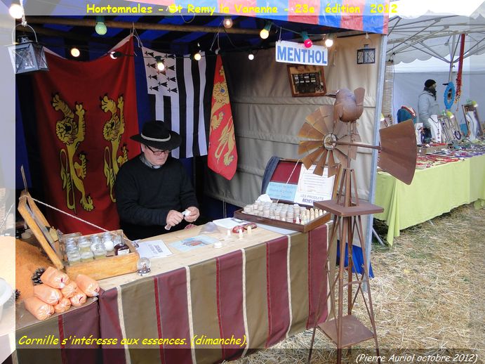 Hortomnales_2012_St Remy_la Varenne_098.JPG